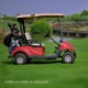 China Best Golf Cart Made by Dongfeng Motor