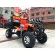 Electric Hunting Buggy, Golf Buggy, off Road Buggy, ATV